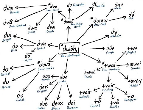 Family tree of the word Two.